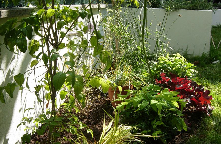 Giardino familiare in comprensorio marino