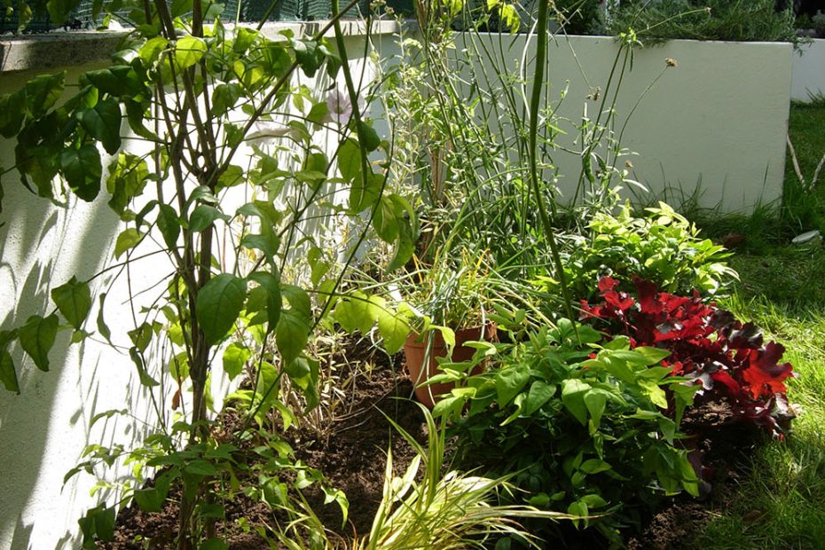 Giardino familiare in comprensorio marino