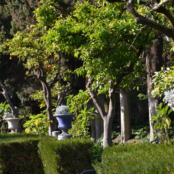 Giardini dell’Alcázar Siviglia