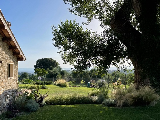 Casaletto in Sabina Fioriture di muri a secco