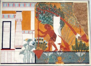 Archeologia dei giardini nell’antico Egitto
