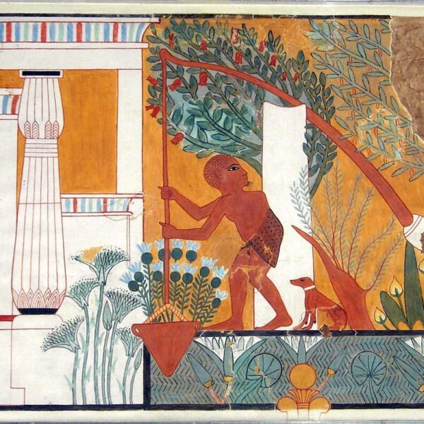 Archeologia dei giardini nell’antico Egitto