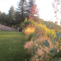 come una linea di affaccio come una linea di affaccio