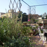 tra esili fili e grigliati tra esili fili e grigliati