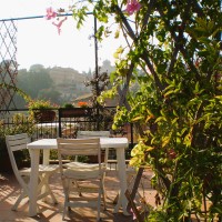 oleandri medicago e verbene oleandri medicago e verbene