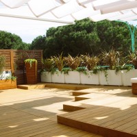 ora, un segno unitario ora, un segno unitario