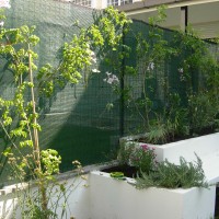 panche vaso come divisorio panche vaso come divisorio