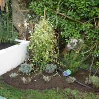 come gli scalini della casa come gli scalini della casa