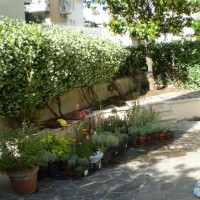 un nuovo progetto un nuovo progetto