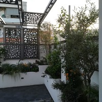 le prime piante le prime piante