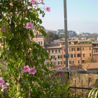 ad angolo la bignonia ad angolo la bignonia