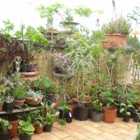 ciascuno una storia ciascuno una storia