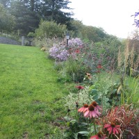 colori a contrappunto colori a contrappunto