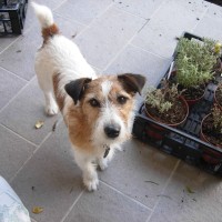 prevedendo tutti prevedendo tutti