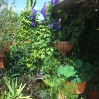 in un intreccio in un intreccio