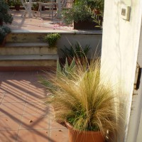 sulla soglia la stipa sulla soglia la stipa