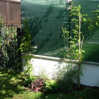 mantenendo riservatezza mantenendo riservatezza