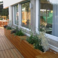 una stecca di vasi una stecca di vasi