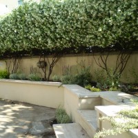 la diagonale dell'ingresso la diagonale dell'ingresso