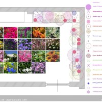 i colori delle fioriture i colori delle fioriture