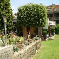 e le diverse quote e le diverse quote