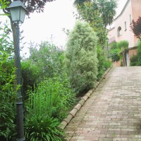 il viale di arbusti il viale di arbusti