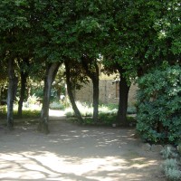 la fila di lecci la fila di lecci