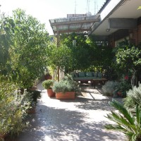 il lato lungo il lato lungo