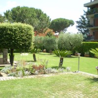 fioriture si susseguono fioriture si susseguono