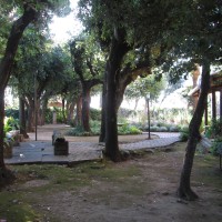 il viale intero il viale intero