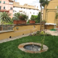 ortensia, heuchera, nandina ortensia, heuchera, nandina