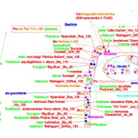 un progetto che aggetta un progetto che aggetta