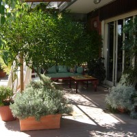 verso il salotto verso il salotto