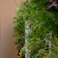 profondità di verdi profondità di verdi