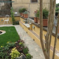 la corteccia della lagerstroemia la corteccia della lagerstroemia