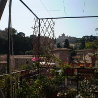 nei vasi affacciati fioriture nei vasi affacciati fioriture