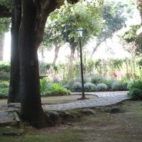 santoline e fioriture santoline e fioriture