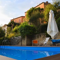 schermata tra le ginestre schermata tra le ginestre