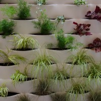 l'eleganza del sistema l'eleganza del sistema