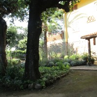 accompagnano al patio accompagnano al patio