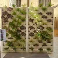 rispetto delle esigenze rispetto delle esigenze