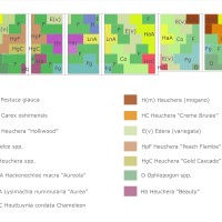 nella scelta delle piante nella scelta delle piante