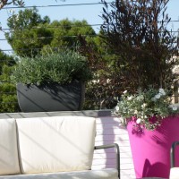 arredi eleganti arredi eleganti