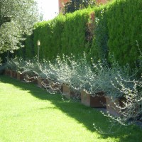 un rivestimento cadenzato un rivestimento cadenzato