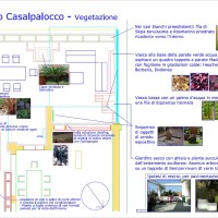 le scelte vegetali le scelte vegetali