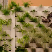 sul disegno delle diagonali sul disegno delle diagonali