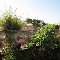 di una romanità rivisitata di una romanità rivisitata