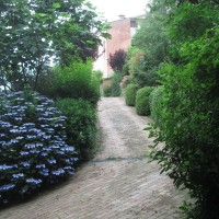 il saluto delle ortensie il saluto delle ortensie