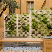 profondità di campo profondità di campo