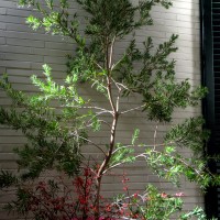 tagli di luce tagli di luce